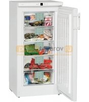 Холодильник Liebherr G 2013